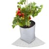 growbag 1